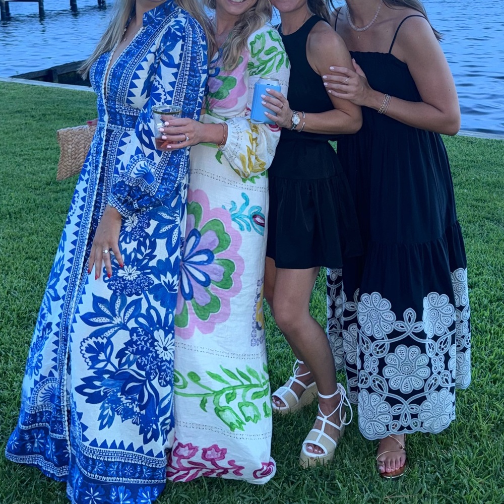 Farm Rio Blue and White Floral Button-Down Dress